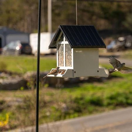 Cozy Cottage, Hot Tub, Fire Pit, 15Min To Hudson And Hiking Catskill Esterno foto