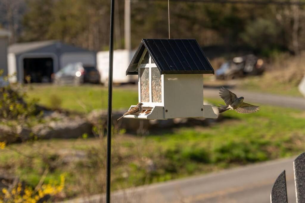 Cozy Cottage, Hot Tub, Fire Pit, 15Min To Hudson And Hiking Catskill Esterno foto